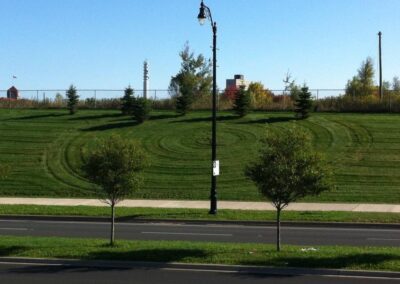 Lawn Care & Maintenance Services City lawn with curved mowing lines and rows of small trees.