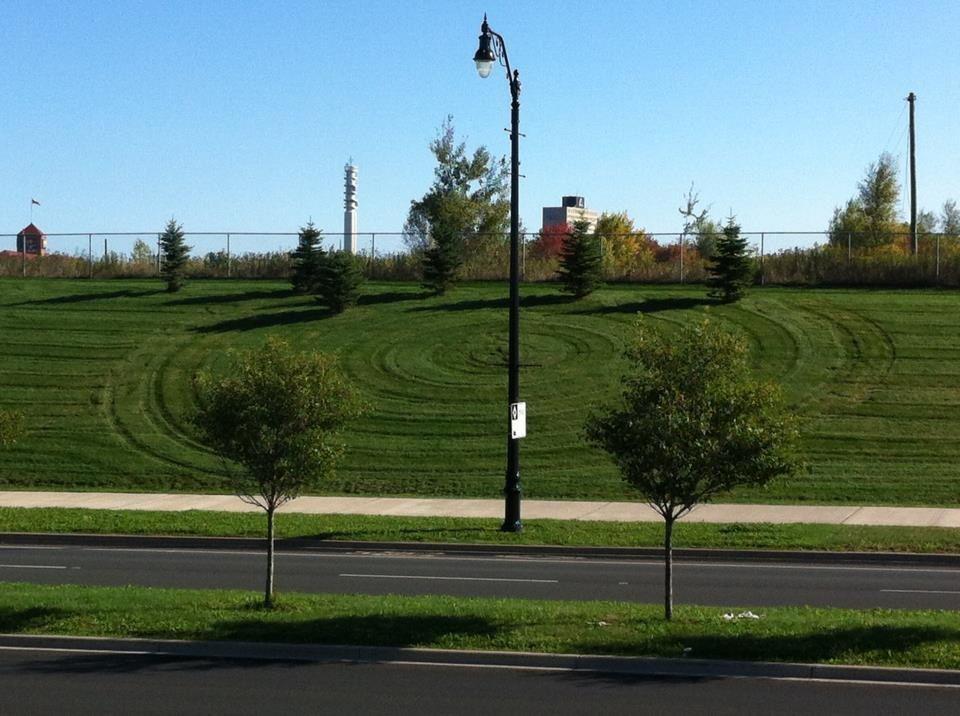 Creative Mowing Design in Urban Lawn Lawn Care & Maintenance Services City lawn with curved mowing lines and rows of small trees.
