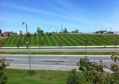 Signature landscape Large green field with symmetrical striped mowing patterns.