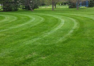 Close-up of lawn with curved mowing stripes among trees.