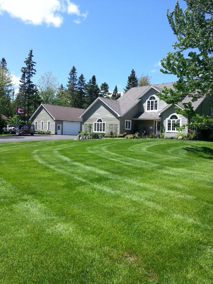 Residential Lawn Maintenance Lawn Care & Maintenance Services Large green front lawn in front of a grey suburban house.