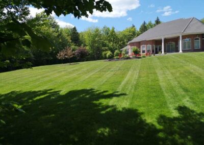 Large backyard with striped green lawn and red-brick home