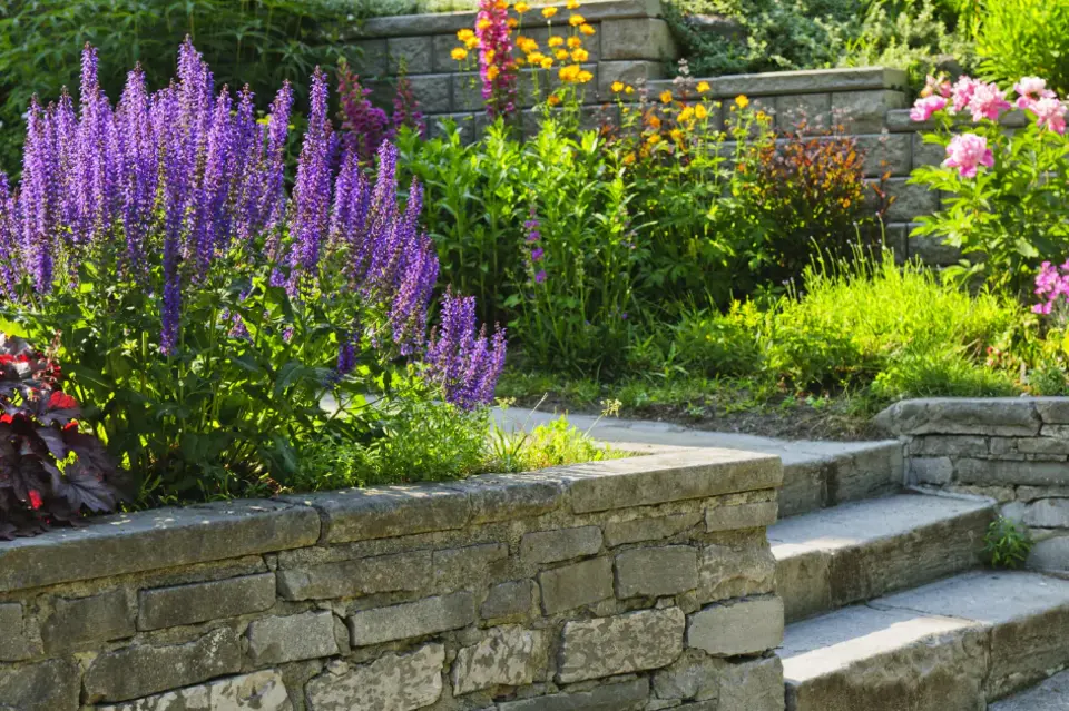 Untitled-design-12_1_cropped