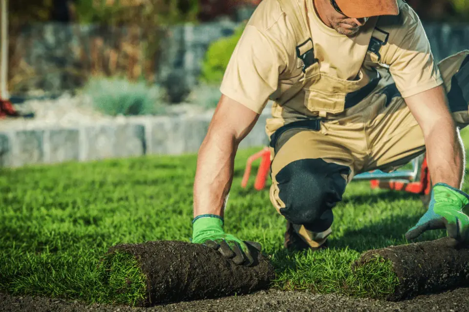 Untitled-design-13_cropped