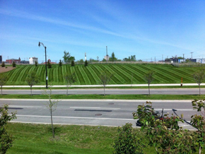 Signature-Landscape-Lawn-Care-Maintenance-Services-Home-Services